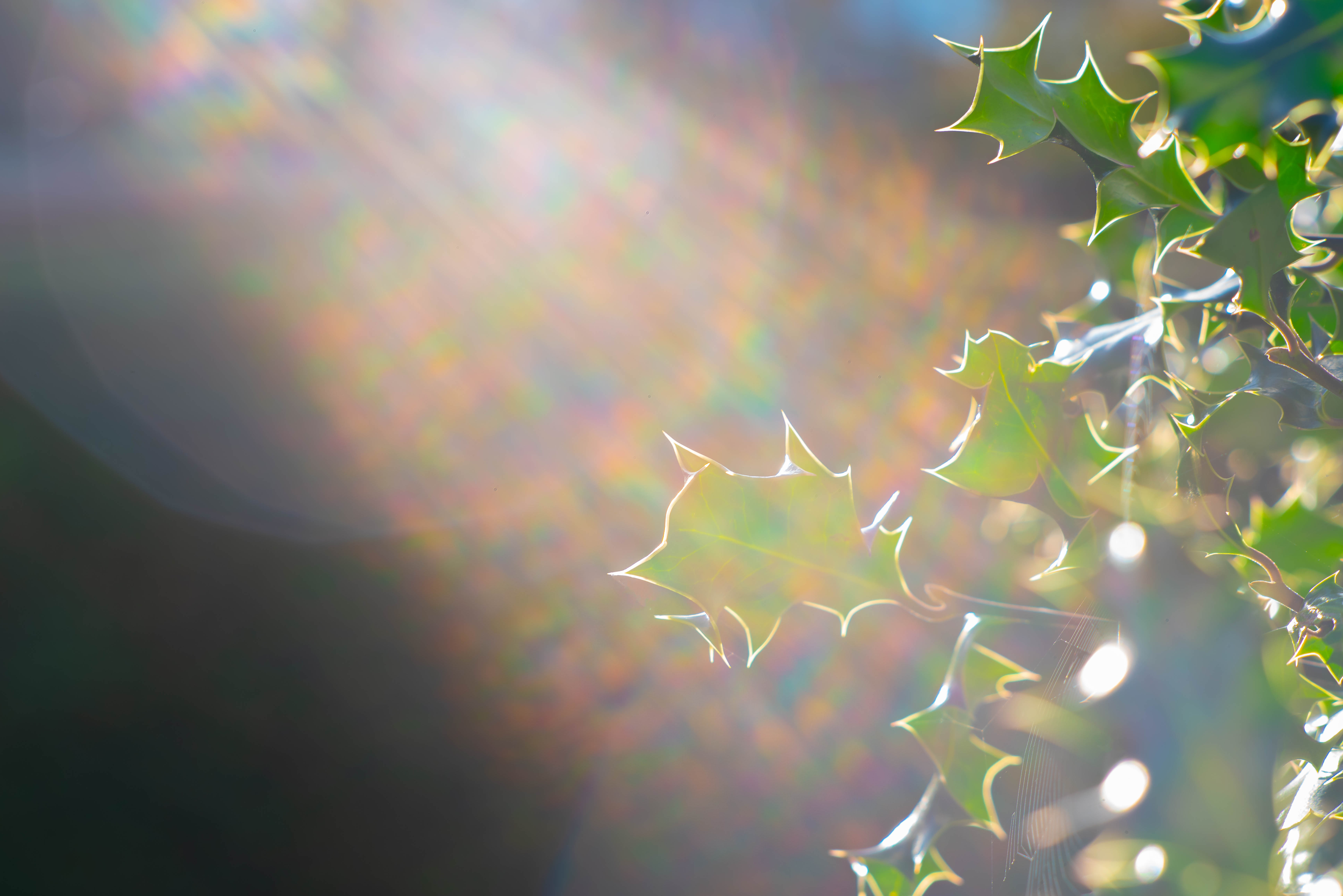 Flare